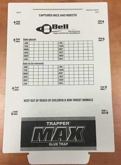 Trapper Max Pro Lijmval 19,5 cm x 13,5 cm